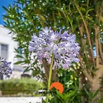 Villa #232 Girasol Pool & Garden