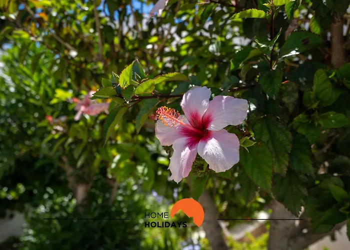 #232 Girasol 33 By Holidays アルブフェイラ