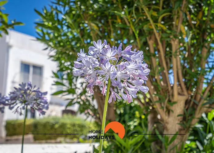 ヴィラ #232 Girasol 33 By Holidays